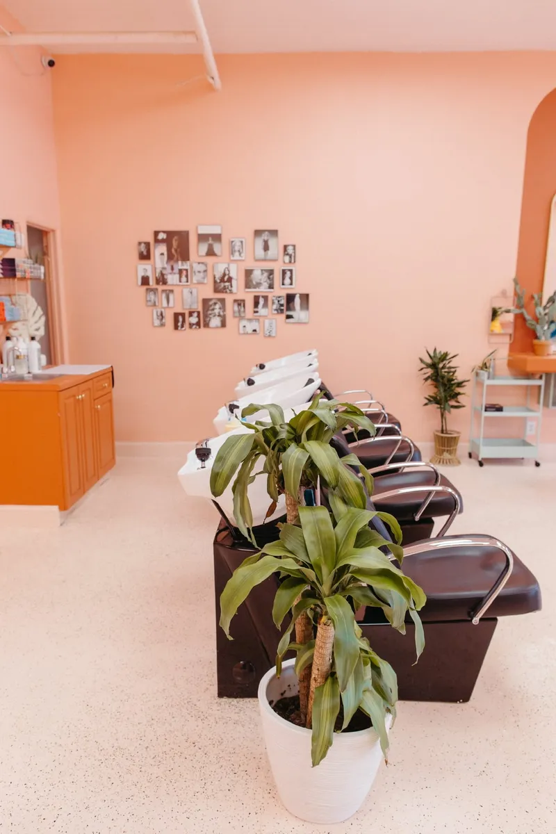 A row of shampoo chairs with a tall plant against a peach wall